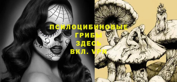 наркотики Белокуриха