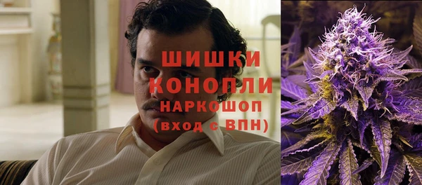 гашик Богородск