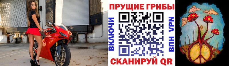 Галлюциногенные грибы мухоморы Верещагино