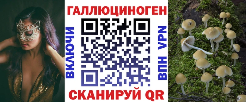 купить наркоту Верещагино Псилоцибиновые грибы Psilocybe
